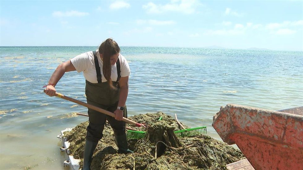 El equipo de 'Repor' hace una radiografía del estado ecológico del Mar Menor este domingo en RTVE