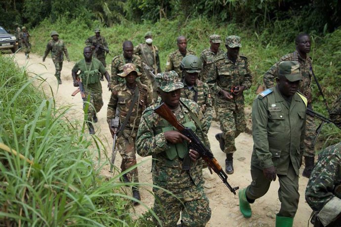 Archivo - Operació militar contra les ADF a la República Democrtica del Congo (RDC)