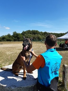 Grupo del Perro de Salvamento