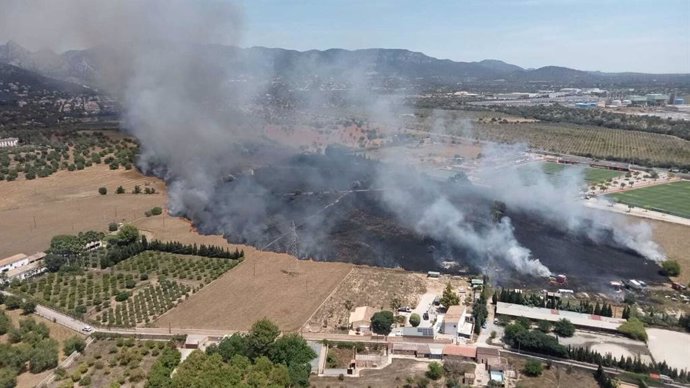 Bomberos de Palma e Ibanat trabajan en la extinción de un incendio agrícola en Son Bibiloni