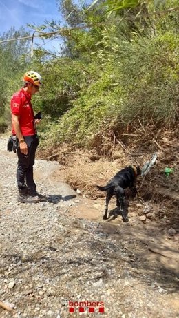 Cerca de la desapareguda