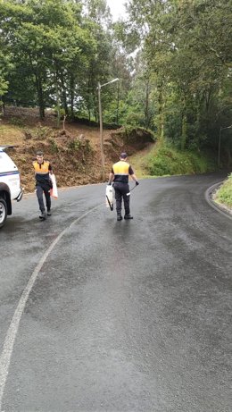 Voluntarios de Protección Civil realizan labores de limpieza en una carretera de Pontevedra.