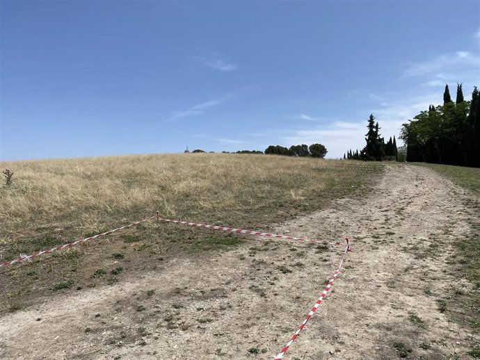 Puntos delimitados en el Cerro del Alcázar para los sondeos arqueológicos.