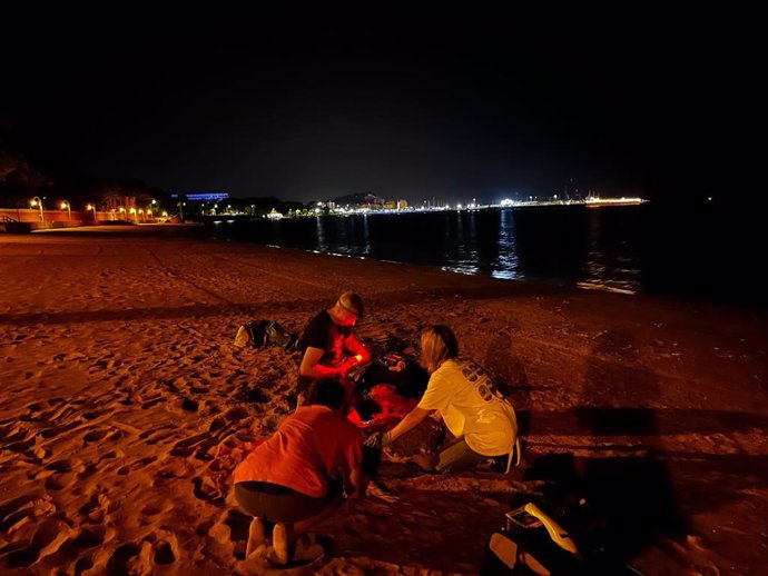 Una tortuga marina deposita 80 huevos en la playa de Dénia