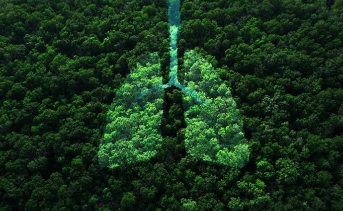 Cotesa desarrolla en Somiedo un proyecto para cuantificar el almacenamiento de CO2 en zonas verdes