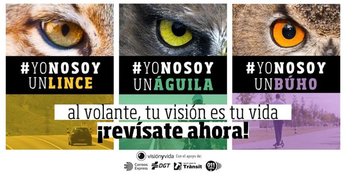 Campaña   yo no soy un lince.