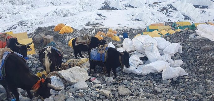 Recogida de basura en el campamento base del monte Everest