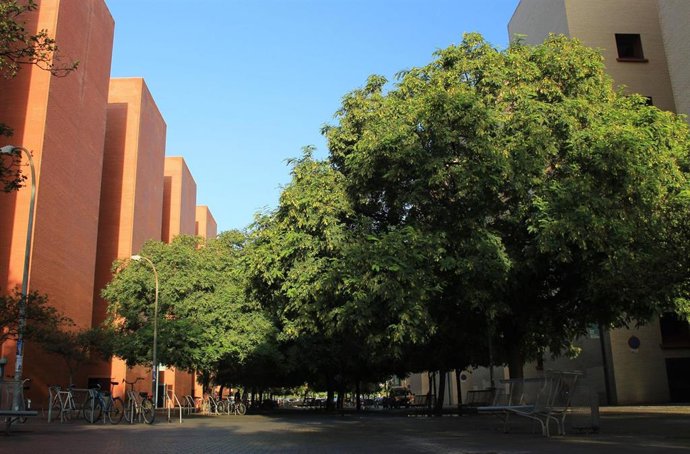 Campus de Tarongers