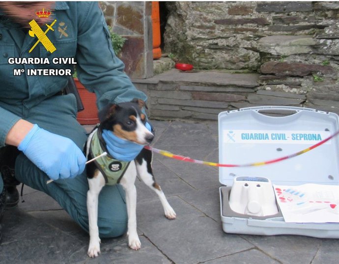 Un agente de la Guardia Civil con un perro.