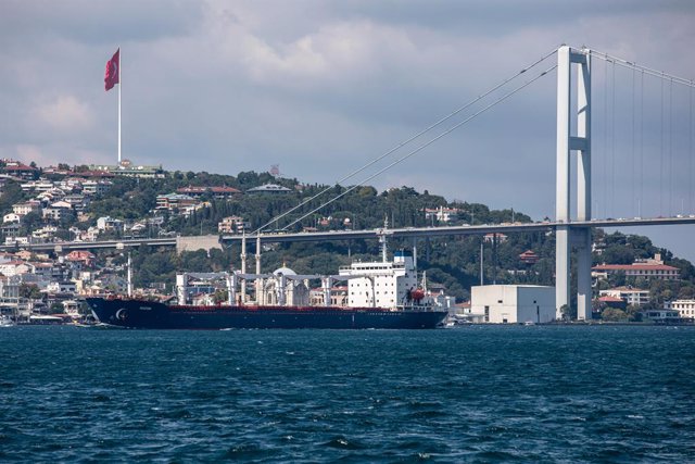 Archivo - August 3, 2022, Istanbul, Turkey: Sierra Leone-flagged dry cargo ship Razoni, carrying a cargo of 26,527 tons of corn, leaves Istanbul, Turkiye and passes along the surroundings of July 15 Martyrs Bridge to reach Lebanon after inspections are co