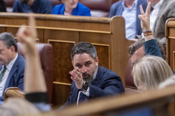 Archivo - El líder de Vox, Santiago Abascal, durante las votaciones de una sesión plenaria, en el Congreso de los Diputados