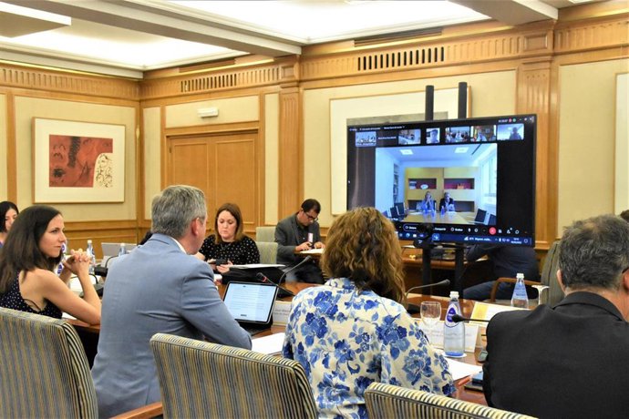 Andalucía vota en contra de la hoja de ruta de atención temprana de menores aprobada este lunes en CISNS