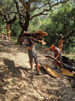 Jóvenes participantes en la IV Escuela de Descorche en la Sierra de Hornachuelos.