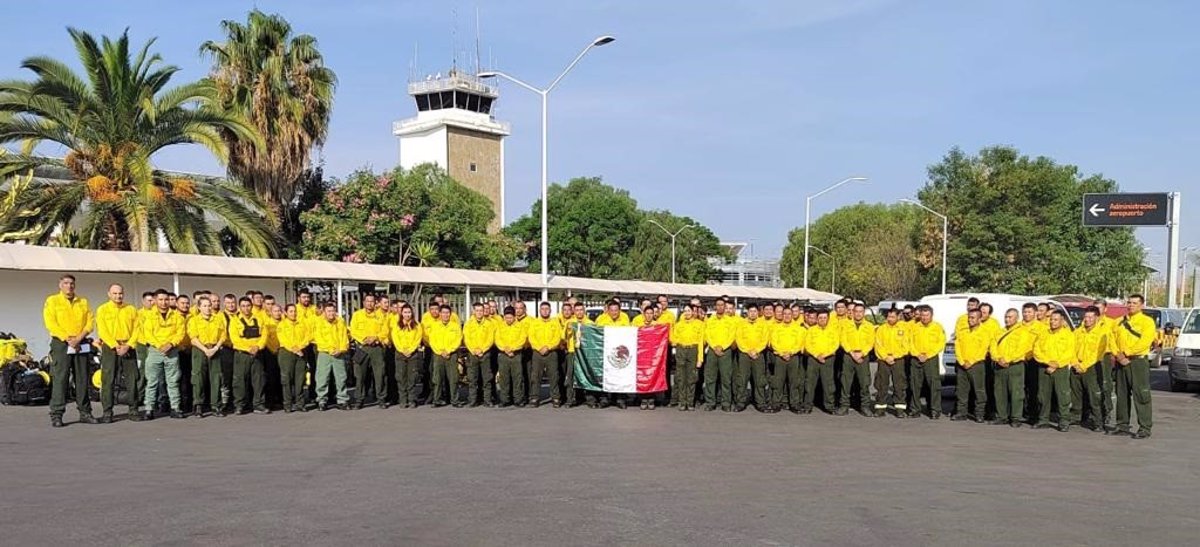 Government of Mexico sends aid teams to control forest fires in Canada