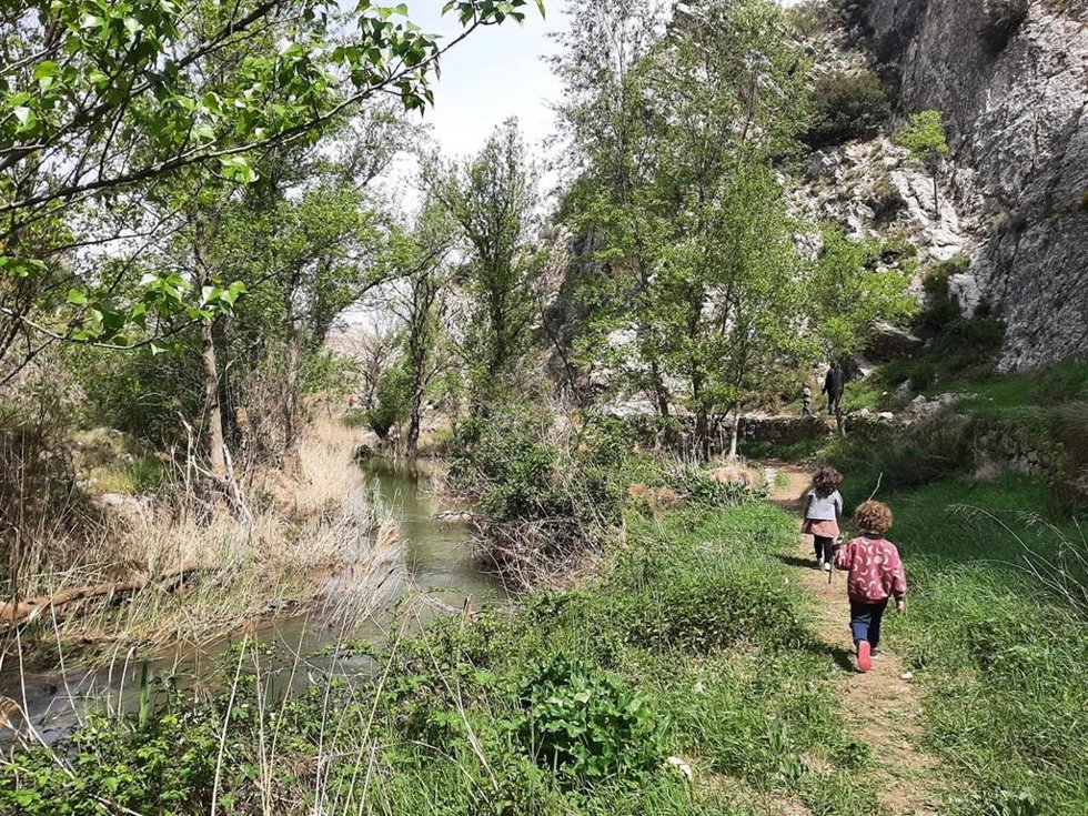 Río Aguasviva a su paso por Almonacid.