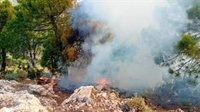 El Infoca trabaja para extinguir un incendio causado por un rayo en Canillas de Albaida (Málaga)