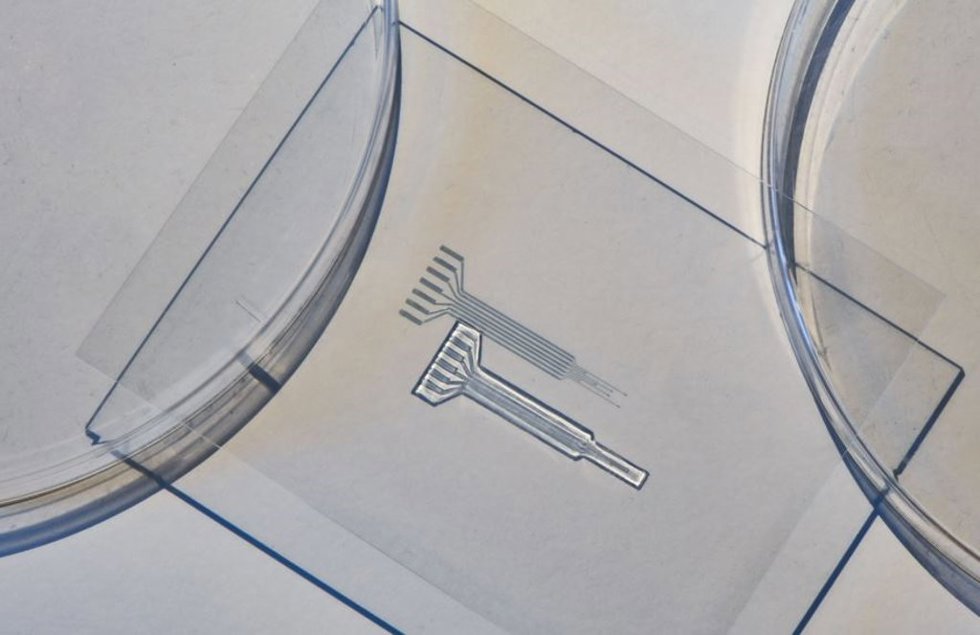 Los ingenieros del MIT desarrollaron un material similar a la gelatina sin metales que es tan suave y resistente como el tejido biológico