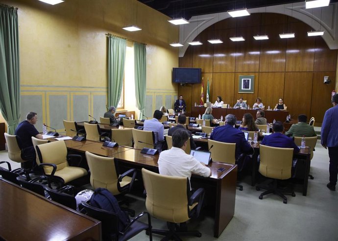 Sesión de la Comisión de Presidencia, Interior, Diálogo Social y Simplificación Administrativa del Parlamento andaluz.