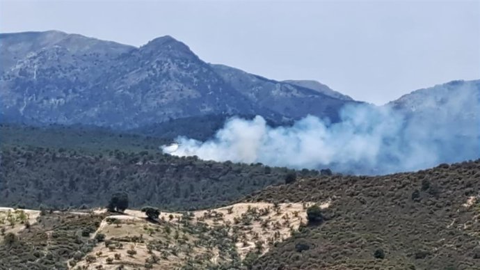 Incendio en el paraje Bocanina
