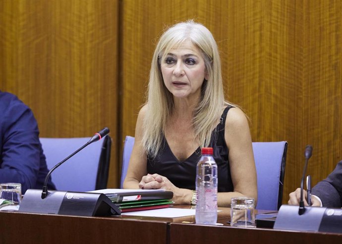 La consejera de Desarrollo Educativo y Formación Profesional, Patricia del Pozo, en  comisión parlamentaria