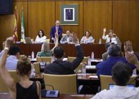 PP-A celebra la aprobación del dictamen de la Ley de Policías Locales que "será realidad de forma inminente"