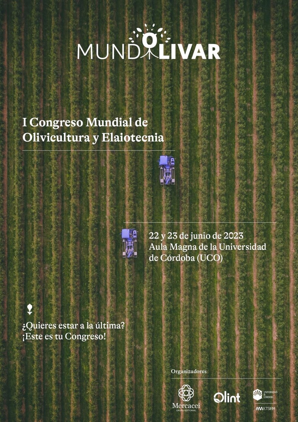 Cartel de Mundolivar.