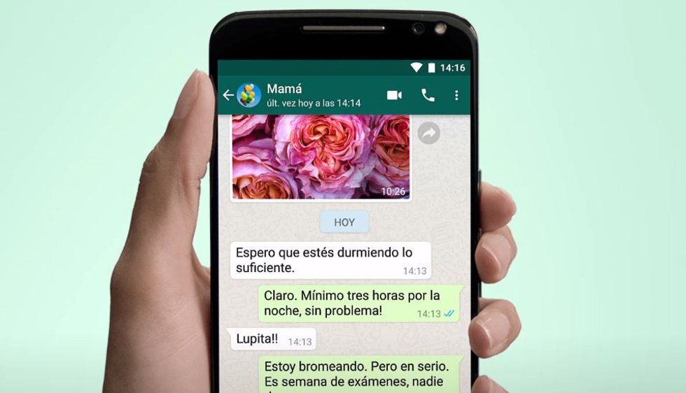 Interfaz de WhatsApp
