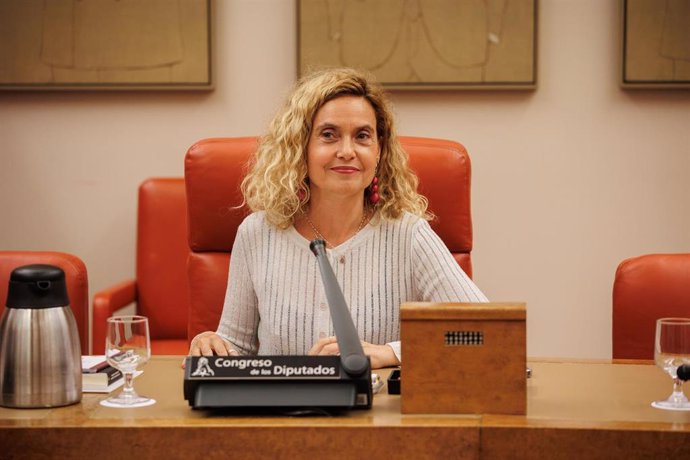 La presidenta del Congreso de los Diputados, Meritxell Batet, durante la Diputación Permanente.