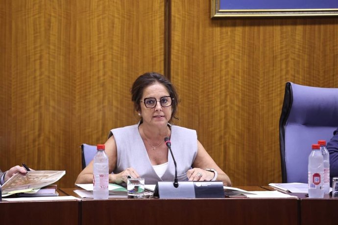 La consejera de Salud y Consumo, Catalina García, en la Comisión de Salud del Parlamento andaluz