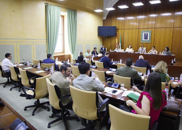 La consejera de Agricultura, Pesca, Agua y Desarrollo Rural, Carmen Crespo, en comisión parlamentaria