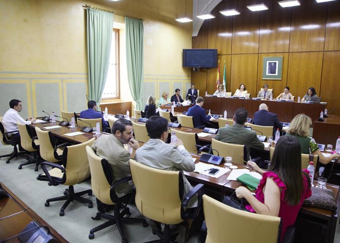 La consejera de Agricultura, Pesca, Agua y Desarrollo Rural, Carmen Crespo, en comisión parlamentaria