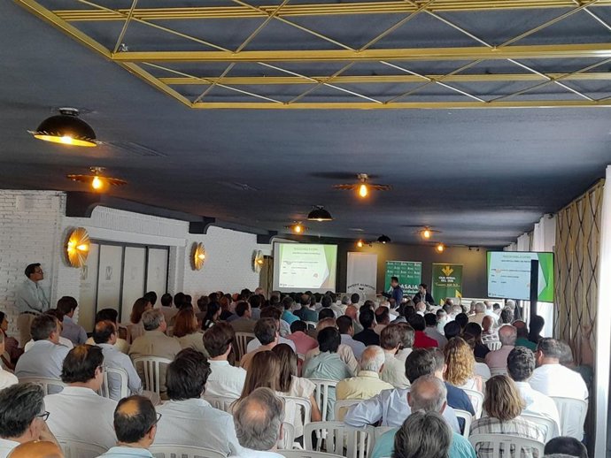 Los agricultores abordan la situación del mercado de la almendra con una campaña de "incertidumbre".