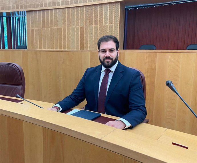 Archivo - El portavoz de Vox en la Diputación de Granada, Gustavo de Castro, en imagen de archivo