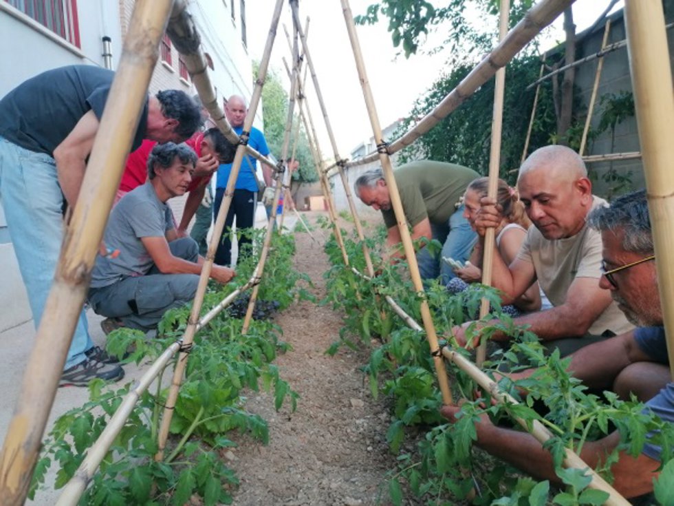 Participantes en el curso de jardinería y huertos urbanos.