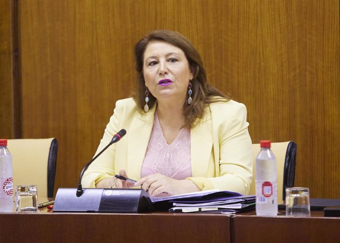 La consejera de Agricultura, Pesca, Agua y Desarrollo Rural, Carmen Crespo, en comisión parlamentaria.