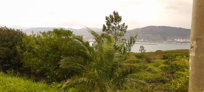 Archivo - Cielos nublados en la costa de Bizkaia (archivo).
