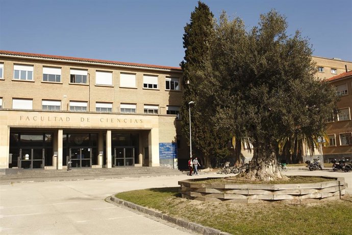 Archivo - Las becas para estudiar un máster estratégico en Aragón ya pueden solicitarse