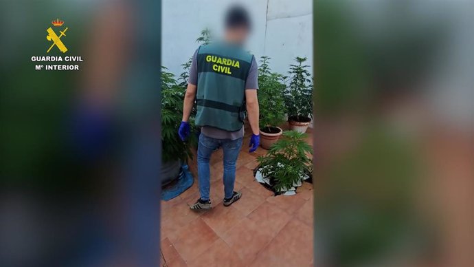 La Guardia Civil ha detenido a un varón de 41 años de edad en Campofrío (Huelva) por su supuesta participación en los delitos de tráfico de drogas, defraudación de fluido eléctrico y tenencia ilícita de armas.