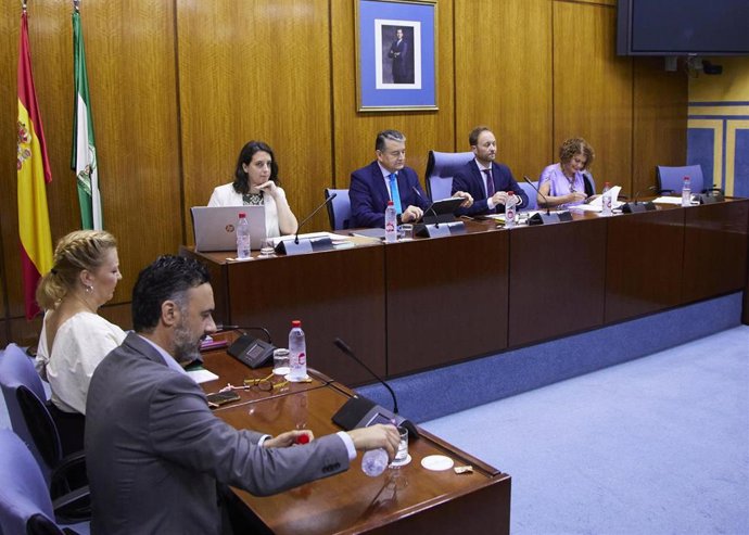 El consejero de la Presidencia, Antonio Sanz, este jueves durante su comparecencia en comisión.