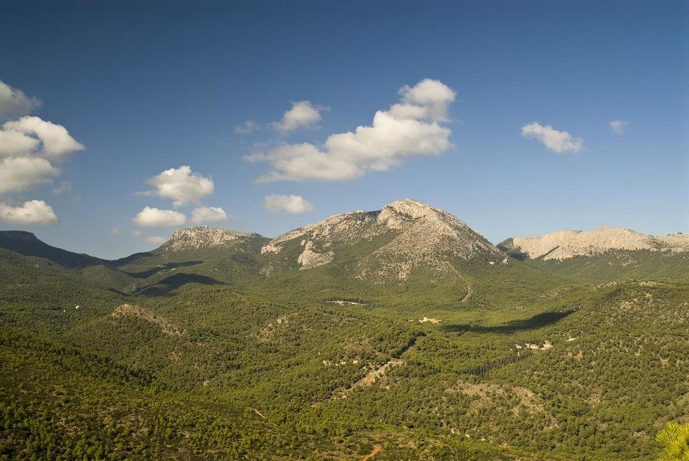 Archivo - Sierra Espuña
