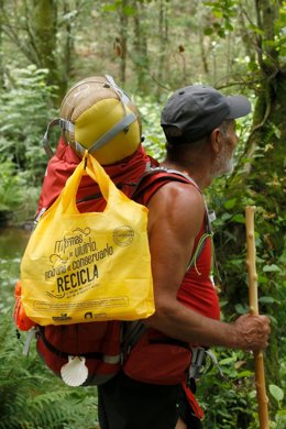Archivo - Peregrino.