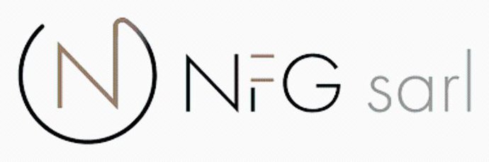 NFG Partners SA obtiene su licencia FINMA.