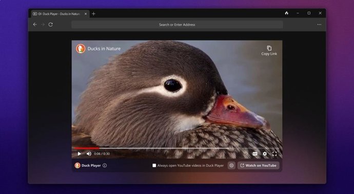 DuckDuckGo llega a Windows.
