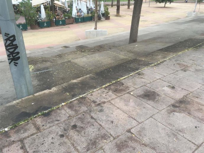 El Paseo de Renfe de Córdoba tras la concentración de hamburgueserías y negocios hosteleros.