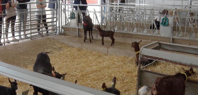 La Universitat Politcnica de Valncia (UPV) ha inaugurado sus nuevas granjas