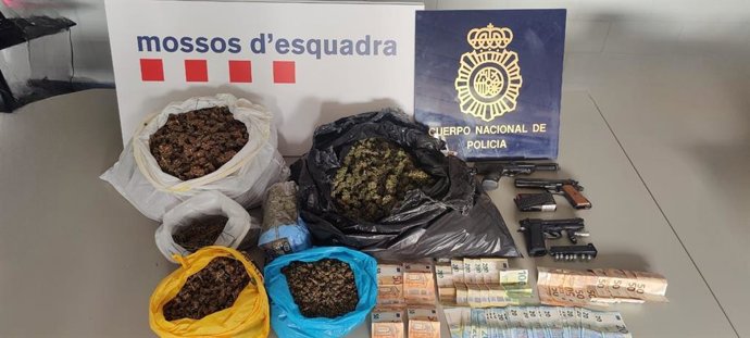 Los agentes decomisaron 800 plantas de 30-80 centímetros algunas de ellas en estado de floración, 5 kilos de cogollos, dinero en efectivo y armas detonadoras