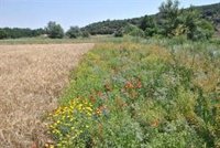 Agricultores y ganaderos piden más ayudas para el campo ante la sequía y al fuerte aumento de los coste sde producción