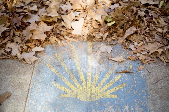 Imagen del Camino de Santiago.