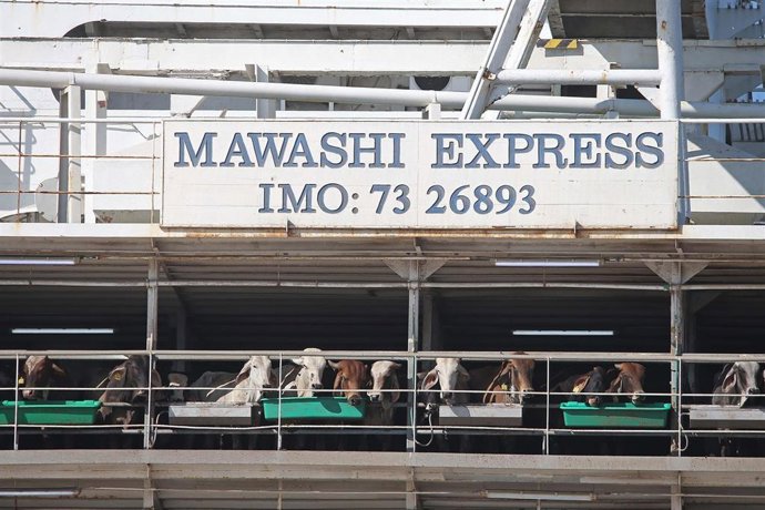 Imágenes del Buque 'Mawashi Express', que ha sido intervenido por la Audiencia Nacional con 16.000 cabezas de ganado.  