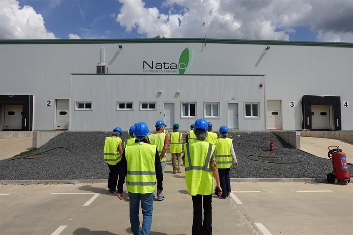 Planta productiva de Natac, ubicada en Hervás, donde se trata el cardo coagulante para la Torta del Casar.